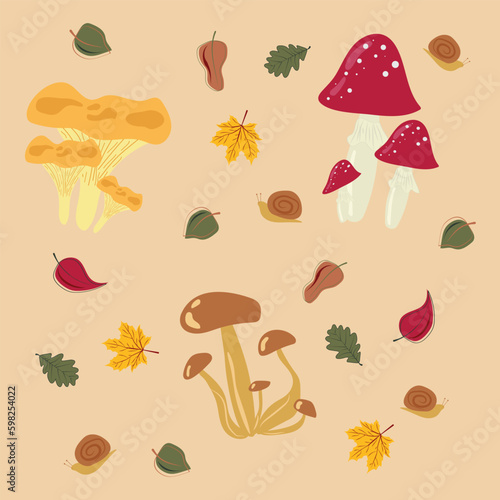 Cartoon mushrooms. Poisonous and edible mushroom, chanterelle, cep, amanita and truffle isolated vector illustration set. Forest wild mushrooms types. Organic porcini and chanterelle, poisonous fungus