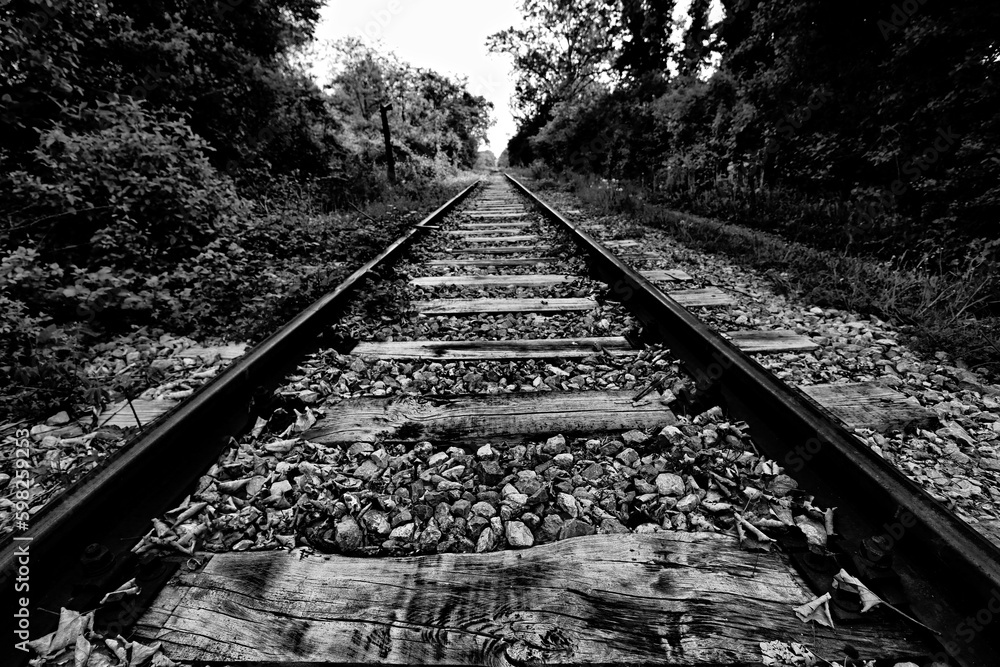 Fototapeta premium Tracks