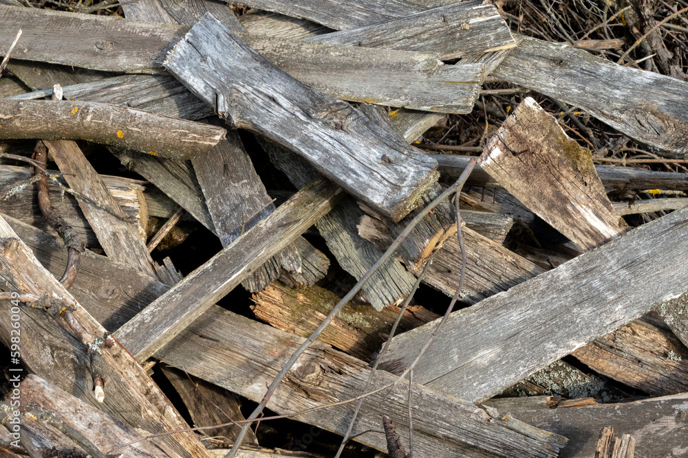 They broke the old fence. Randomly thrown fragments of the old fence. Old fence boards were randomly thrown into a pile. They broke the old fence. Randomly thrown fragments of the old fence. Old fence boards were randomly thrown into a pile.