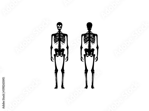 Set of Skeleton silhouette Human bones hands, legs, chests, heads, Thighs front back side view. Set of black silhouettes of human bones on white background. Human bones skeleton silhouette vector. 