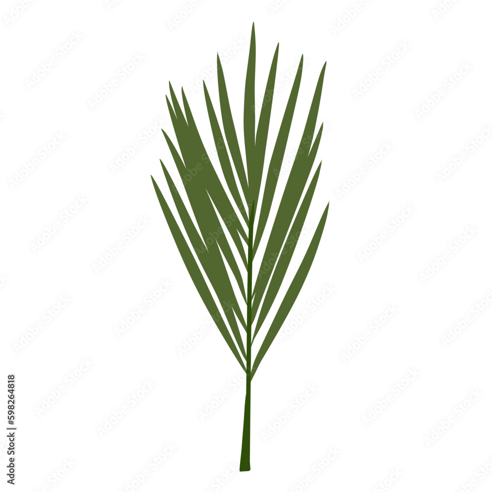 Palm branch Leaves Illustration 