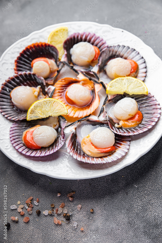 seafood scallop in shell fresh meal snack on the table copy space food background rustic top view 