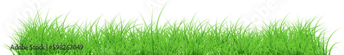 grass illustration