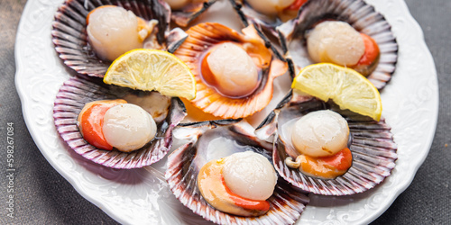 seafood scallop in shell fresh meal snack on the table copy space food background rustic top view 