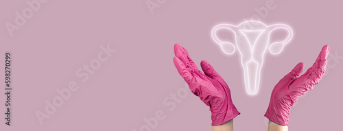Fotografie Womb, female genital reproductive system. Banner background
