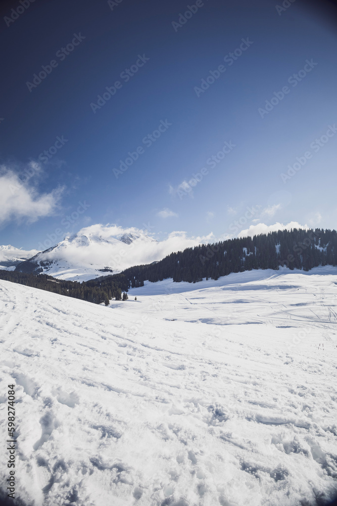 Snow covered mountains