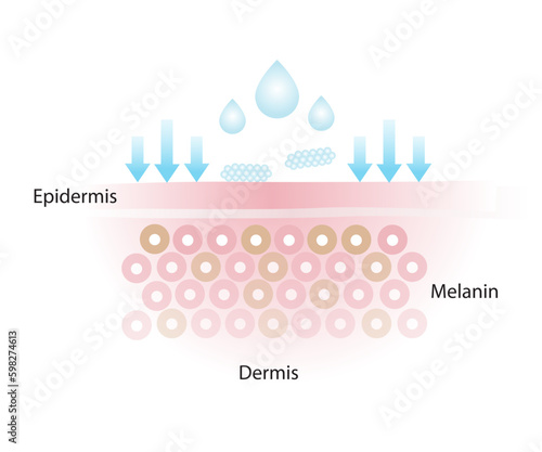 The skincare product doesn't get absorbed, that doesn’t properly penetrate into the skin layer vector on white background.