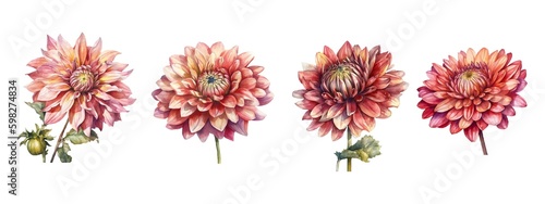 Set of watercolor dahlia flowers.Generative AI technology. © Екатерина Якубович