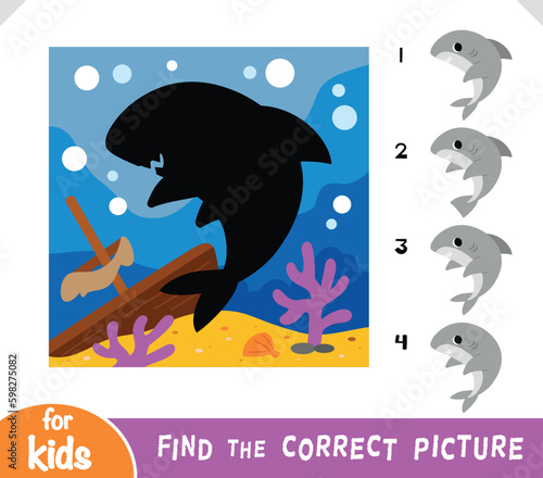 Find the correct shadow, education game for kids, Cute shark and sunken ship background
