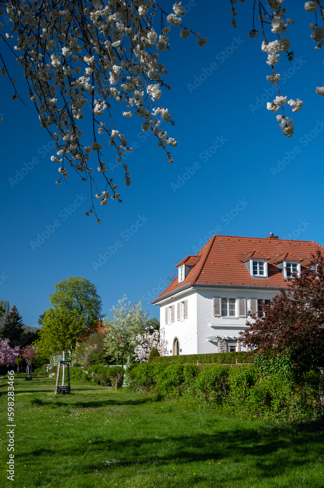House in the city in the springtime