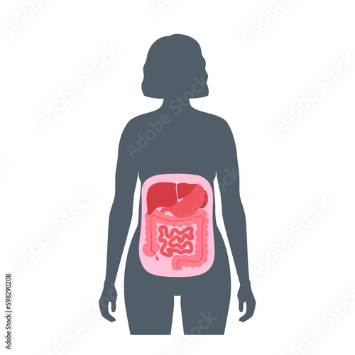 Abdominal cavity poster Generative AI