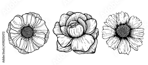 Flower Sketch. Hand Drawn Isolated Vector Illustration. Line Art Flowers. Floral Line art. Botanical Line drawing.