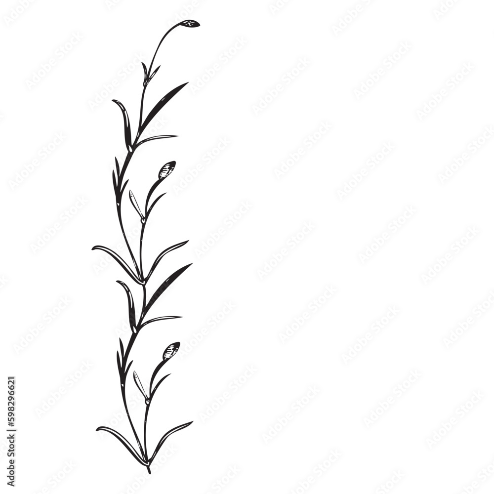 Naklejka premium Botanical hand drawn floral frame Vintage flowers border.Wildflower plant abstract background. Creative trendy greeting card, celebration, wedding invitation, banner Vector illustration Graphic design