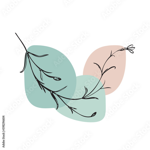 Linear wildflower on color patch isolated on white background. Vector illustration for greeting card, logo, design, poster, print, wedding invitation, birthday, postcard, party, spring summer decor