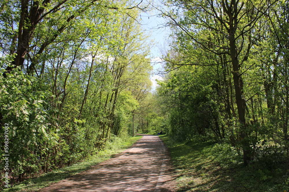 Fototapeta premium Park. Part 6.