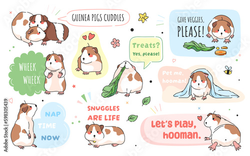 Adorable stickers with cute guinea pigs set. Cute rodent animal guinea pig labels and funny stamps. Modern guinea pig stickers collection with funny phrases and text.