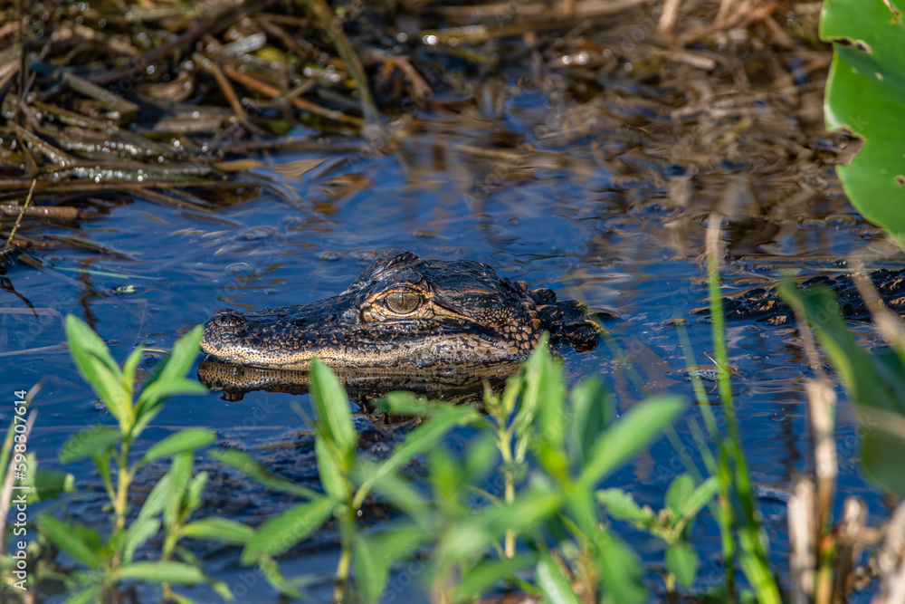 Naklejka premium boat at fish camp