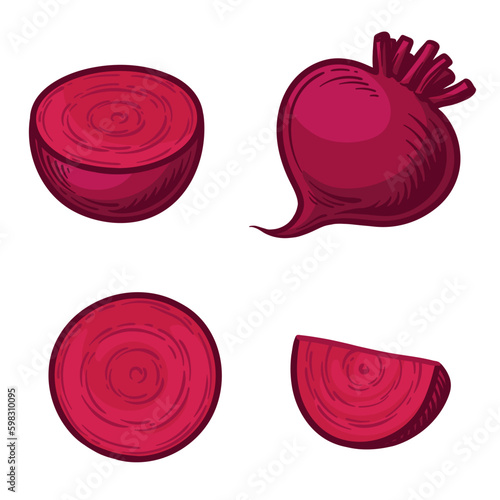 Beet vector illustration. Whole beetroot, half beetroot and a slice.