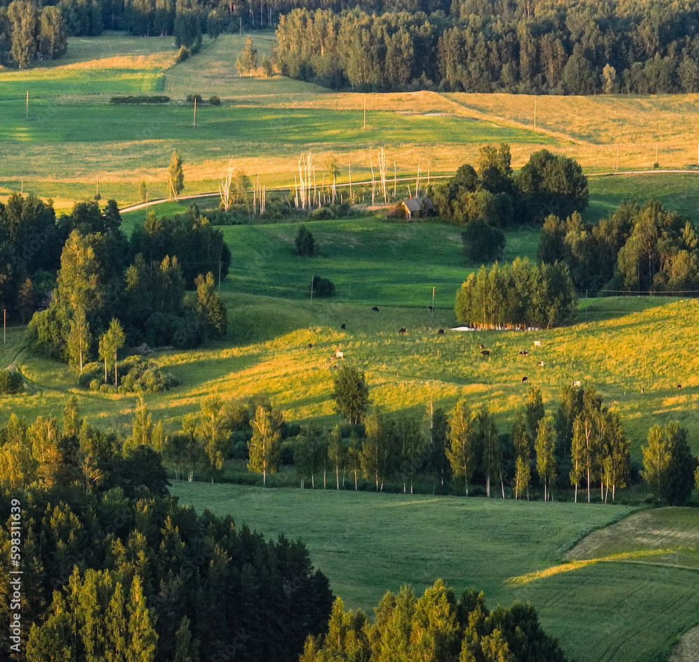 Summer  landscapes in Latvia, in the countryside of Latgale near Siver lake.
