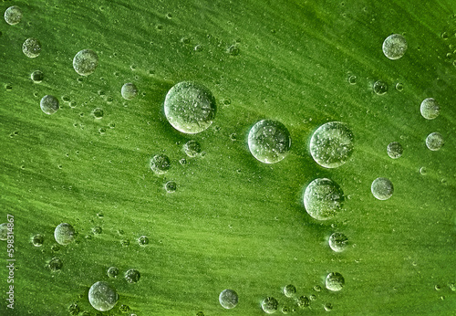 Abstract, natural background. Soft, partial focus. The texture of a green macro leaf with water droplets. Macro background. Natural background. View from above. Place for text. 