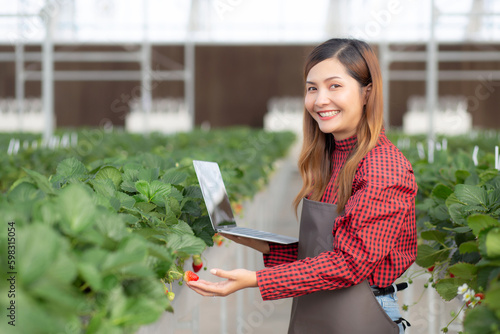 Entrepreneur young asian woman check cultivation strawberry with happiness for research with laptop computer in farm greenhouse, female examining strawberry with agriculture, small business concept.