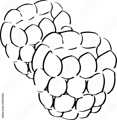 Raspberry sketch