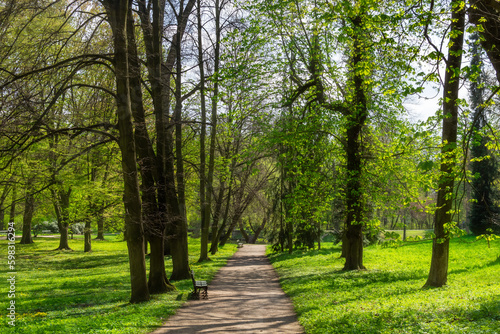 walking path in the green spring park