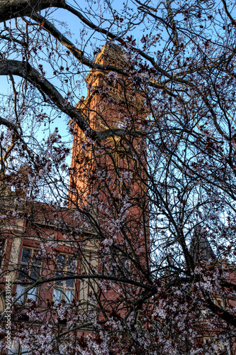 church tower and flowers on the tree