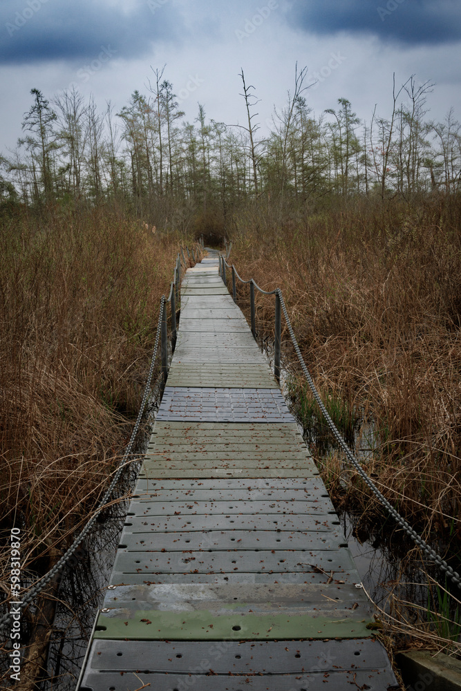 Wetland Board Walk Wetland Board Walk