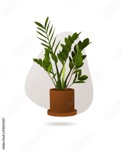 Potted House Plant