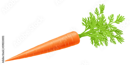 Fresh carrot with green stems, isolated on white. Side view. Close up. Realistic 3d vector illustration. for cooking, menu, Herbal medicine, skin care, ointments, prints, web design