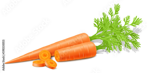 Carrots with leaves isolated on white background. Whole ripe carrot and slices. Fully editable handmade mesh. Realistic 3d Vector illustration. For cooking, menu, Herbal medicine, advertising