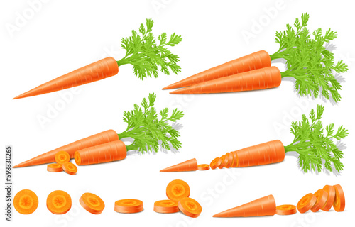 Bright vector set of colorful halves, slices and whole carrots with green stems. Fresh vegetable isolated on white background. Realistic 3d Vector illustration. For cooking, advertising, menu