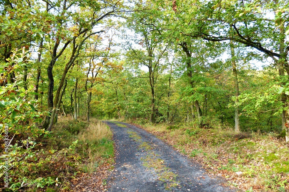 Wanderweg im Herbst Wanderweg im Herbst
