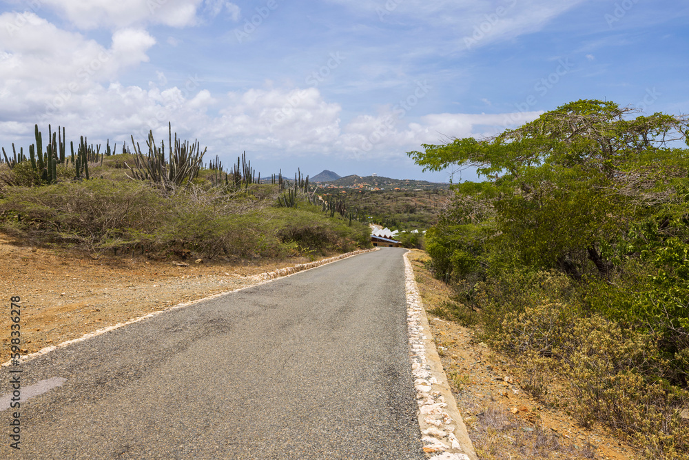 Beautiful view of stone desert of natural park on island of Aruba with asphalt road for vehicles. Aruba.