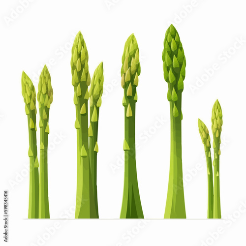 A collection of vector Asparagus illustrations featuring the plant in different lighting.