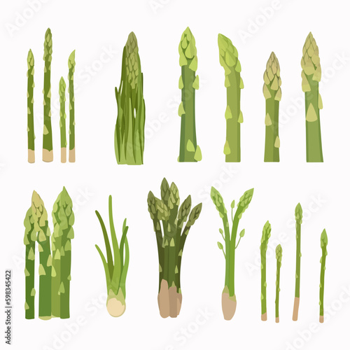 A pack of vector Asparagus illustrations featuring the plant in different textures.
