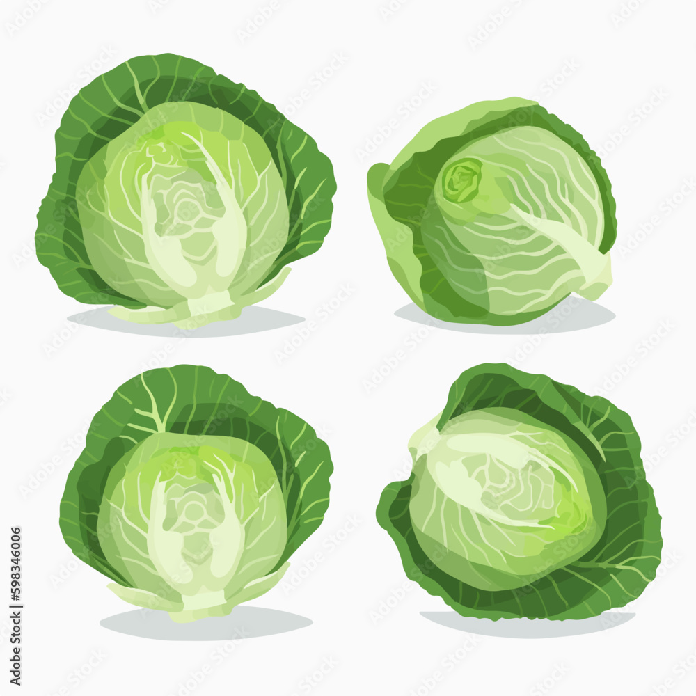 Modern flat-style cabbage vector set Modern flat-style cabbage vector set