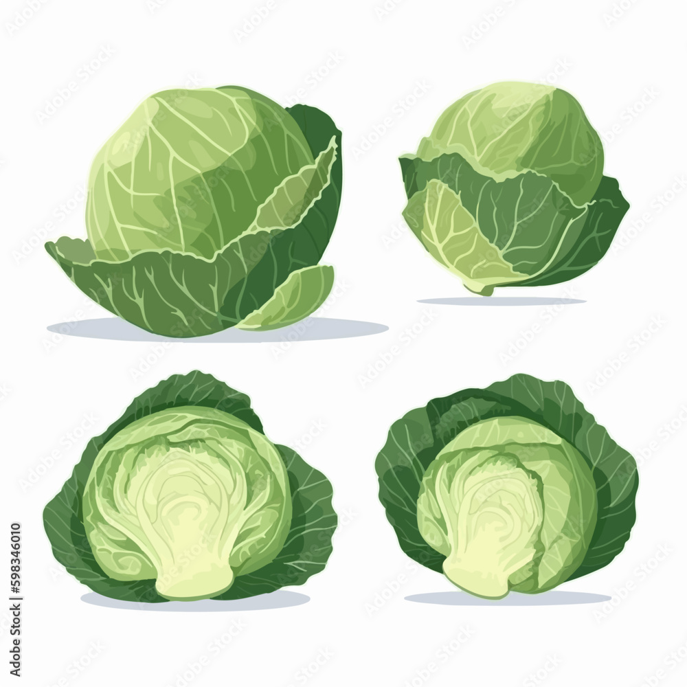 Playful hand-drawn cabbage and carrot illustrations Playful hand-drawn cabbage and carrot illustrations