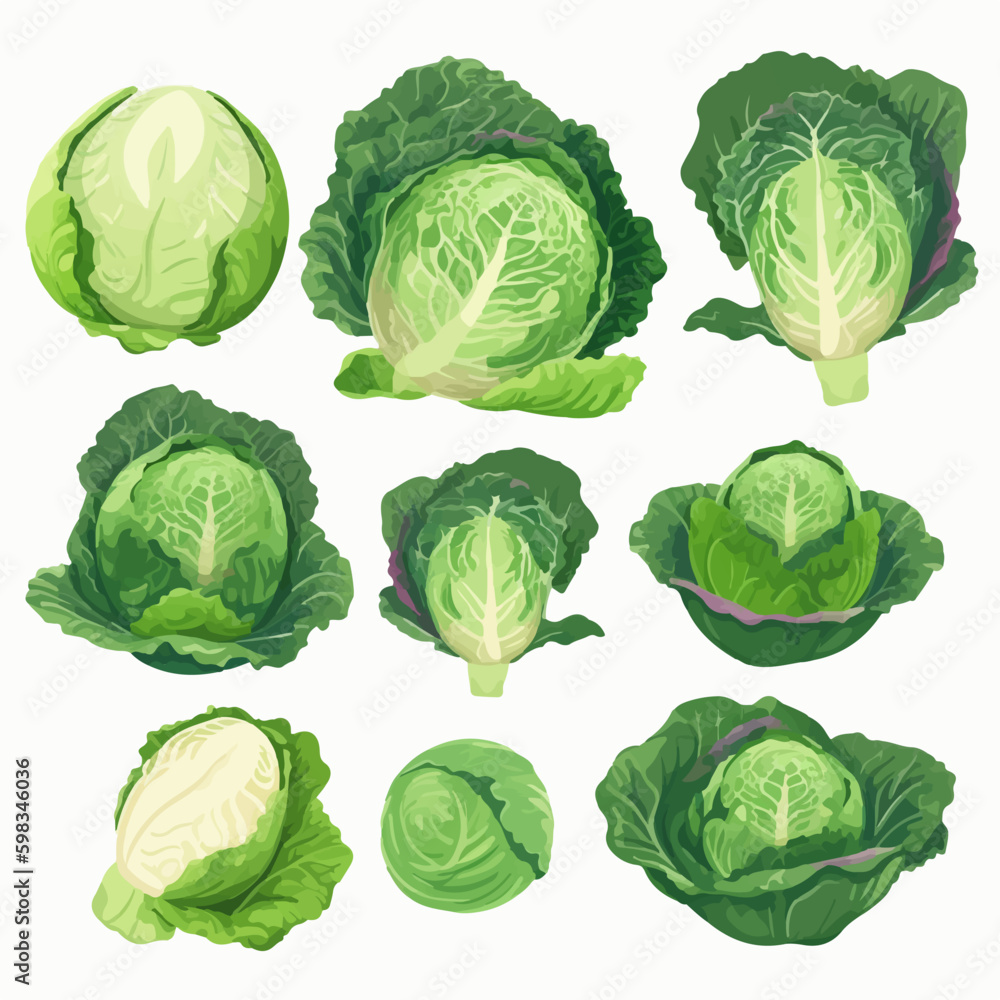 Cute and fun cartoonish cabbage and vegetable character stickers Cute and fun cartoonish cabbage and vegetable character stickers