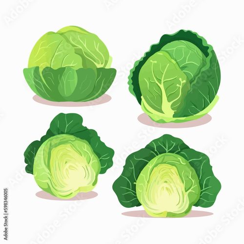 Rustic hand-drawn cabbage and leaves illustration pack