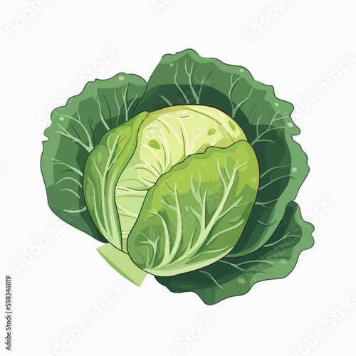 Collection of realistic vector cabbage images
