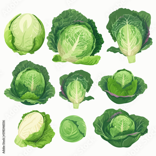Cute and fun cartoonish cabbage and vegetable character stickers