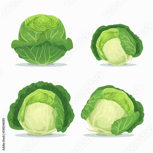 Minimalistic cabbage and vegetable line art vector set