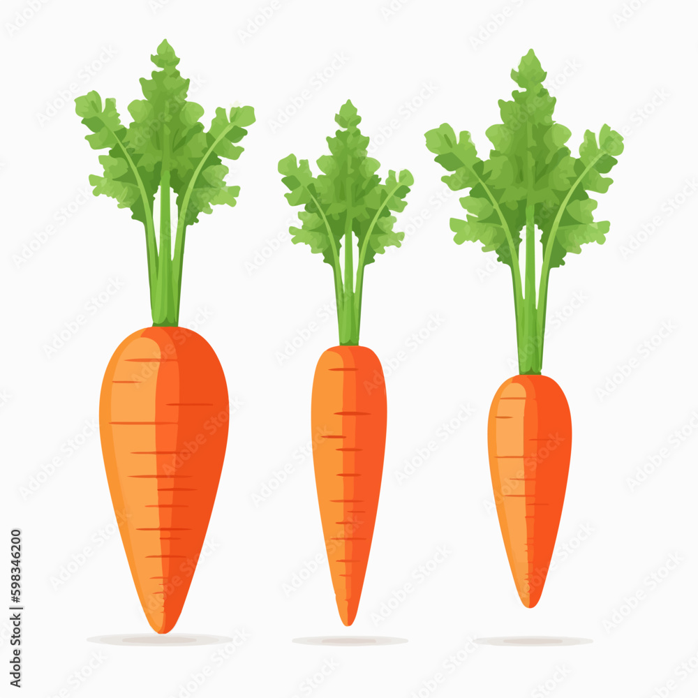 A set of simple carrot illustrations for your nutrition blog or website. A set of simple carrot illustrations for your nutrition blog or website.