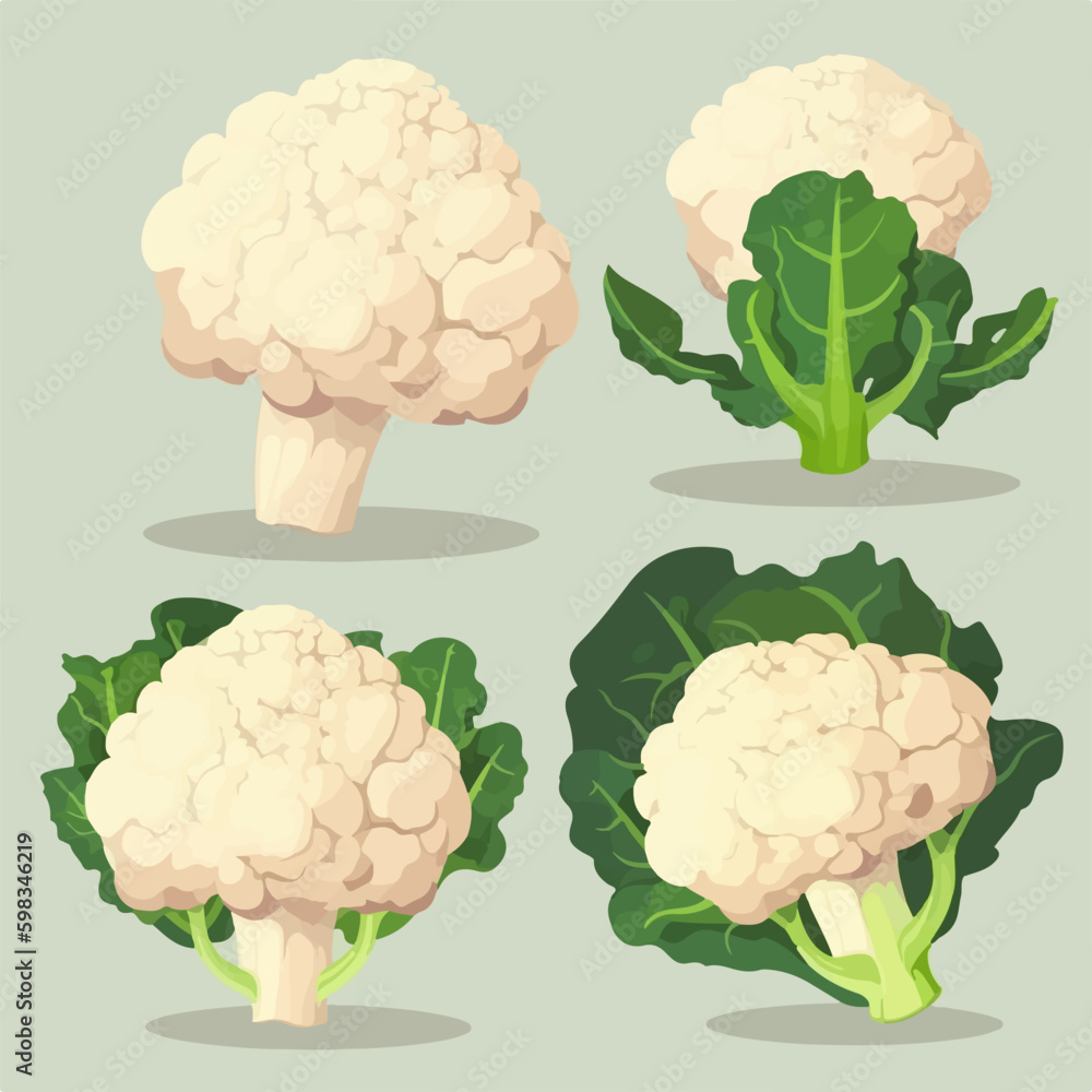 Pack of flat style cauliflower icons Pack of flat style cauliflower icons