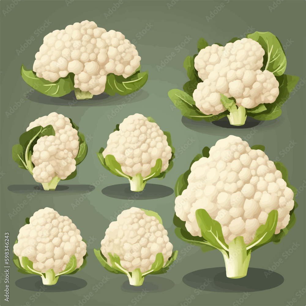 Vector drawing of a cauliflower head with a leafy stem Vector drawing of a cauliflower head with a leafy stem