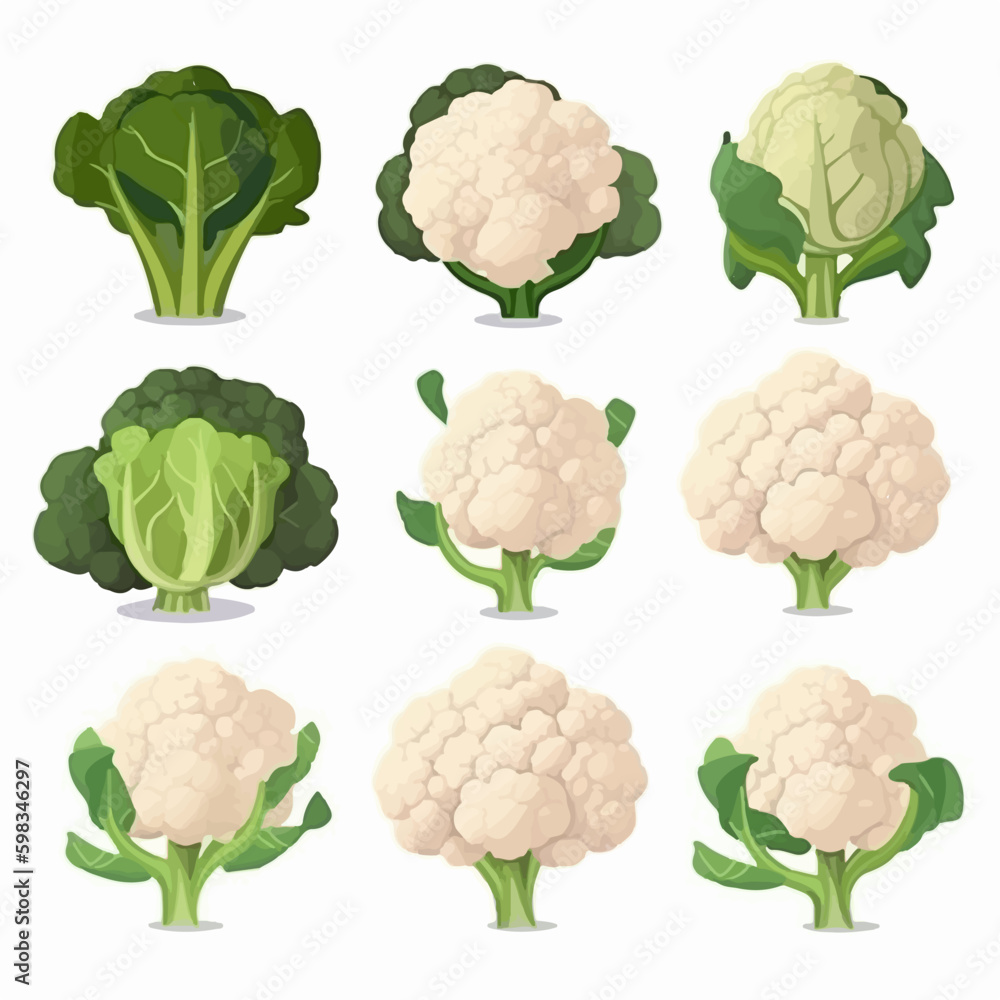 Cauliflower vegetable in a sketch style illustration Cauliflower vegetable in a sketch style illustration