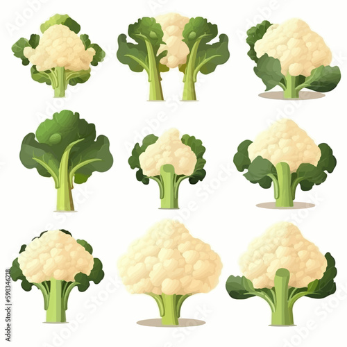 Cauliflower vector icon with a speech bubble