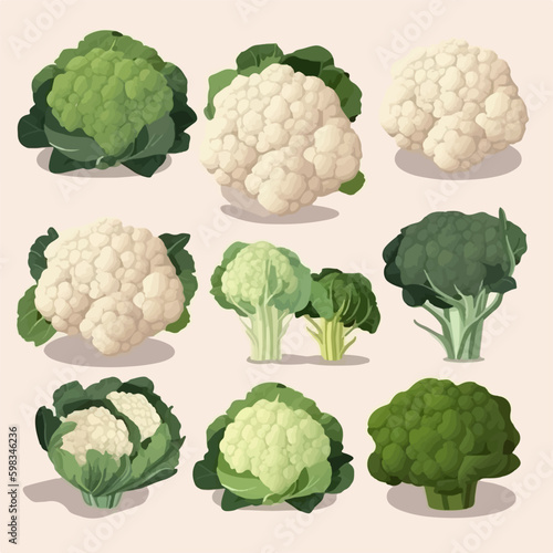 Vector image of a cauliflower head with leaves